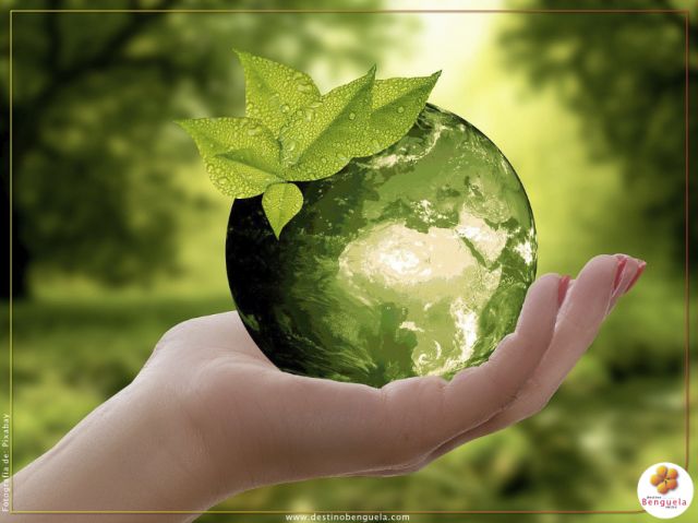 COMO SER ECOLÓGICO EM ANGOLA