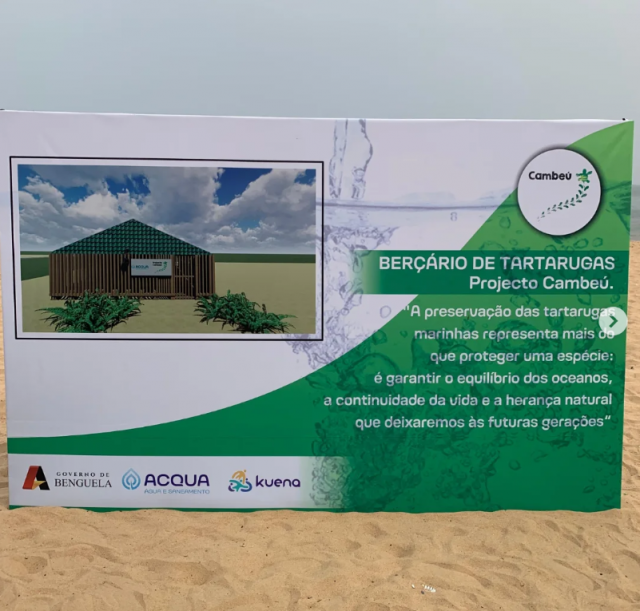 Projecto Cambeú instala na Praia Morena, um berçário para a incubação de ovos de tartarugas em via de extinção.