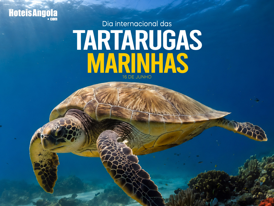 16 DE JUNHO - DIA INTERNACIONAL DAS TARTARUGAS MARINHAS