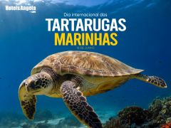 16 DE JUNHO - DIA INTERNACIONAL DAS TARTARUGAS MARINHAS