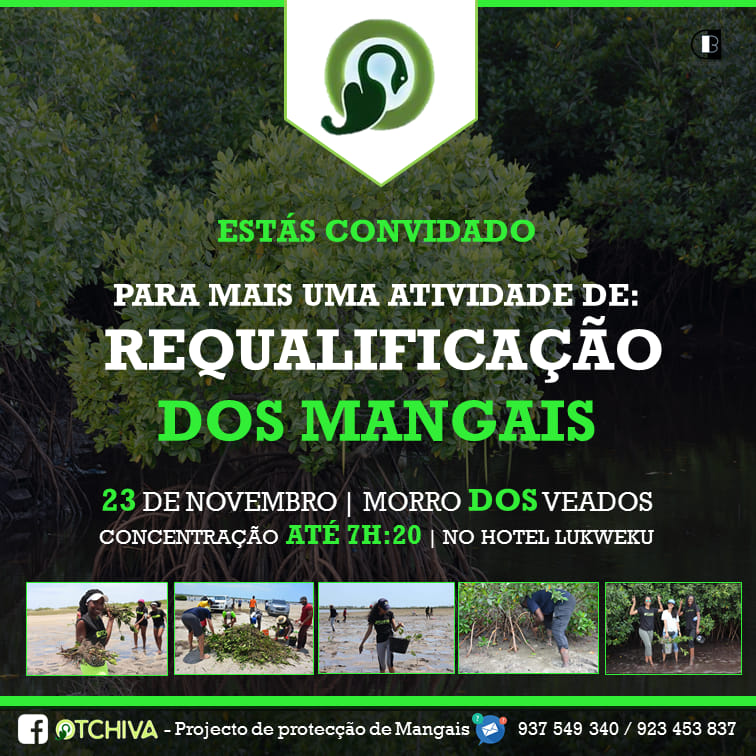 Um Exemplo que podemos seguir