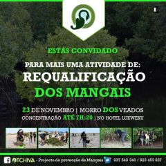 Um Exemplo que podemos seguir