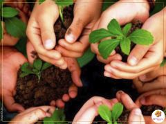 Especialistas apontam educação para sustentabilidade ambiental