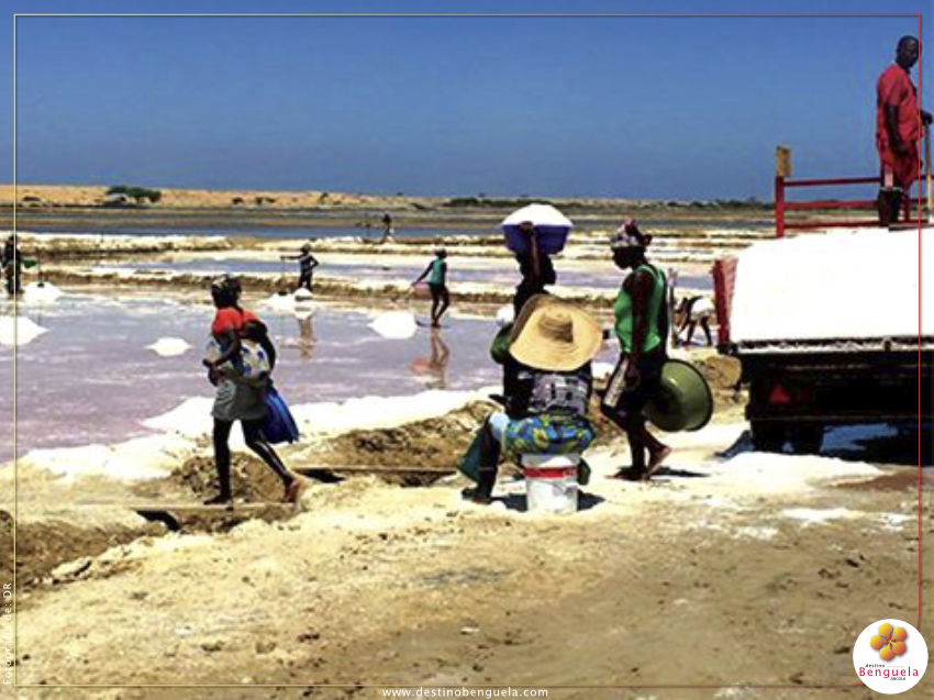 Extracção de sal na província de Benguela já corresponde à demanda nacional © Fotografia por: DR