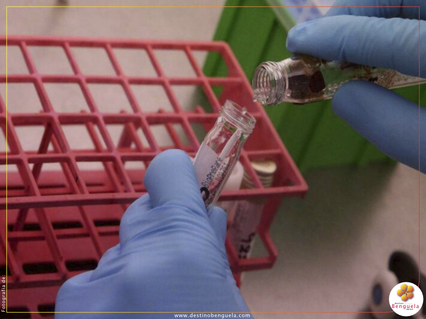 Covid-19: Laboratório de RTPCR de Benguela avariado
