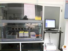 Covid19: Laboratório molecular de Benguela inicia testagem