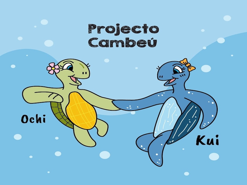 Projecto Cambeú dá início a temporada de desova das tartarugas marinhas no Lobito