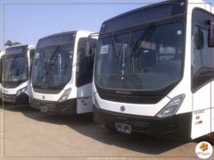 Governo reforça frota de transportes públicos de Benguela