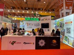 Operador turístico considera "BTL" oportunidade para Angola atrair turistas